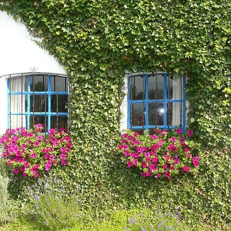 La Quitapenas Holiday home *